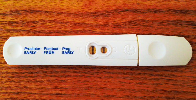 pregnancy-test